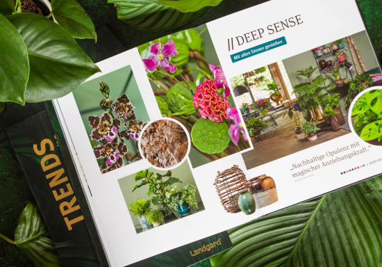 „Trends 2022/23“ ist als Hardcover-Buch in Schweizer Broschur erschienen.