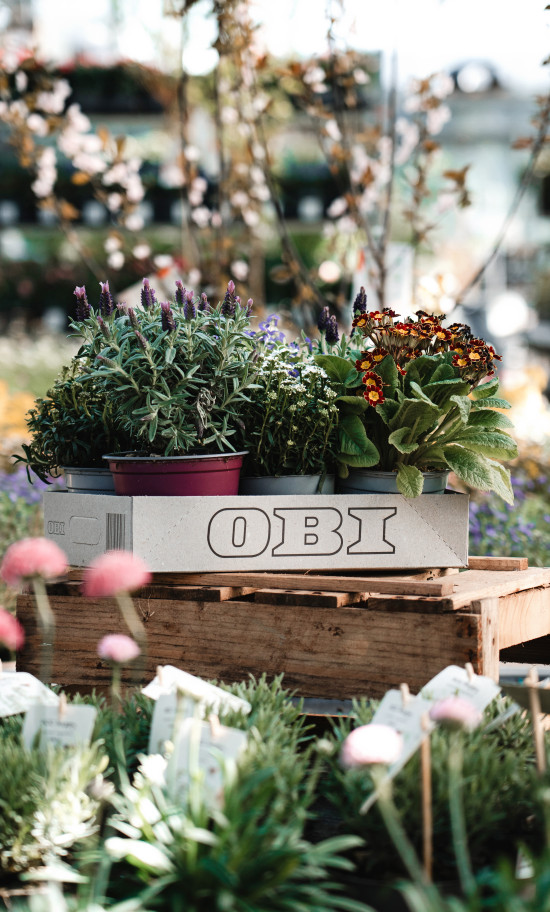 Mit seinem Lieferanten Leipa hat Obi eine nachhaltige Transportlösung für Pflanzen aus Paludi-Biomasse entwickelt.