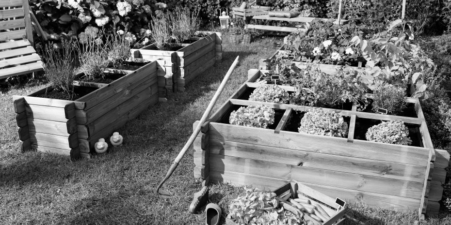 Forest Style Hochbeete