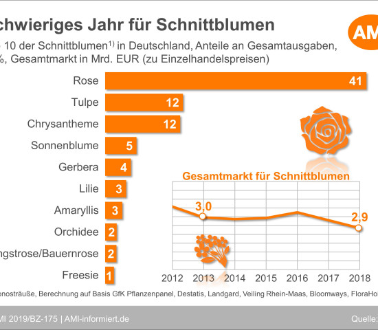 Die Top 10 bei Schnittblumen.
