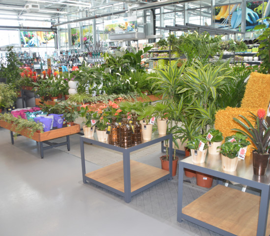 Auch im Gartencenter werde neue Präsentationsformen umgesetzt.
Auch im Gartencenter werde neue Präsentationsformen umgesetzt.