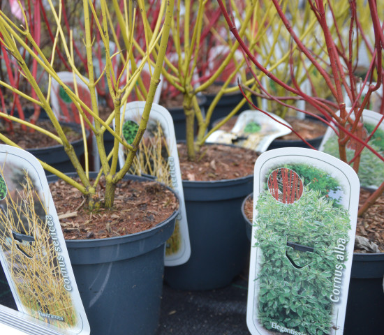 Ein Blick ins umfangreiche Lüers-Sortiment