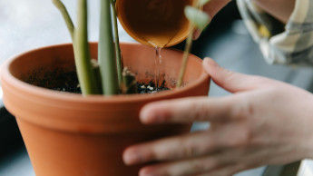 Ebay sieht vier zentrale Zielgruppen für Haus und Garten