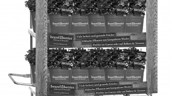 Revolutionärer Thriller