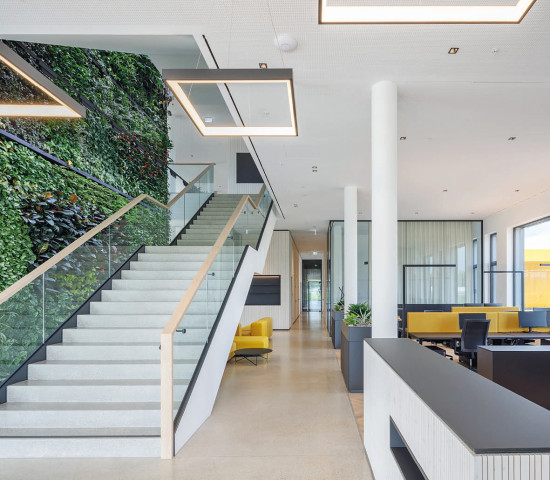 Für das Raumklima wurde das Gebäude mit vertikaler Begrünung ausgestattet.