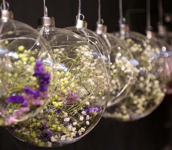 HBX | Heembloemex Deco