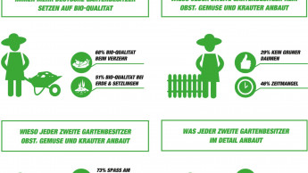 Die Hälfte der Gartenbesitzer baut Obst und Gemüse an Die Hälfte der Gartenbesitzer baut Obst und Gemüse an