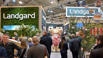 Landgard wächst mit Blumen und Pflanzen