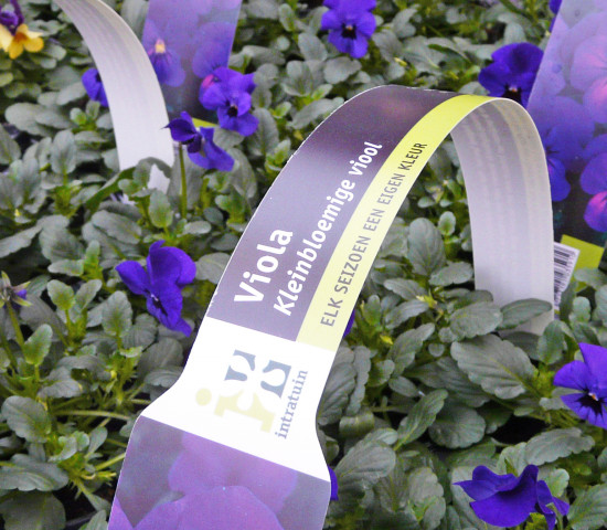 Intratuin-Eigenmarke