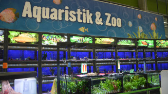 Hornbach eröffnet ersten Markt im Burgenland