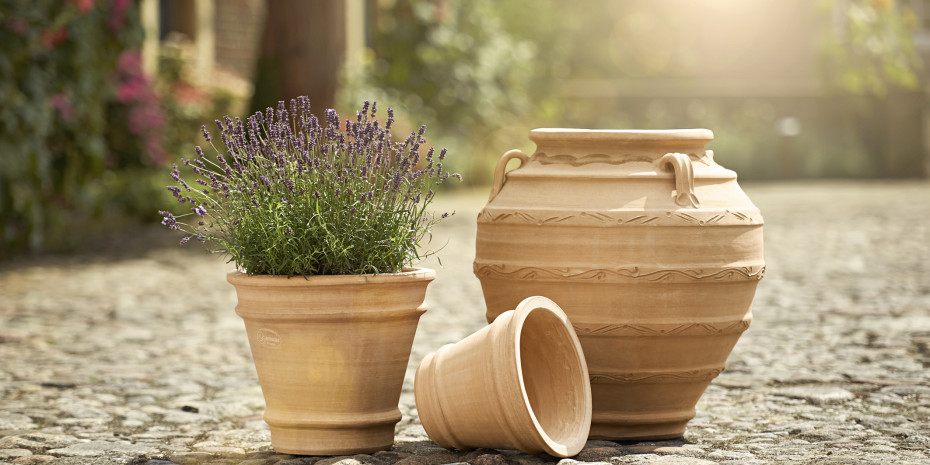 Emsa, Kollektion Terraneo