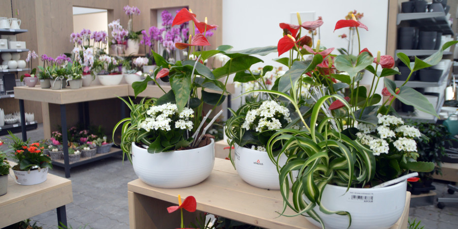 Blumen und Pflanzen, Fertigware