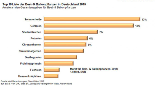 AMI: Die Top 10 der Beet- und Balkonpflanzen.
