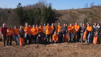 Obi-Azubis pflanzen 1.000 Bäume