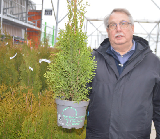 Außendienstler Rudolf Sterkel präsentiert Koniferen, die unter anderem unter der Marke „Heckenprofi“ vermarktet werden.&nbsp;