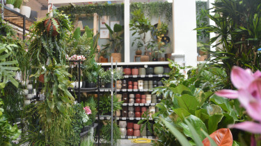 Garten & Freizeit hat bei DIY die Nase vorn