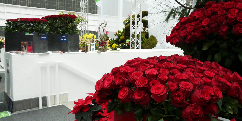 Christmasworld/Floradecora, De Ruiter, 40.000 rote Rosen