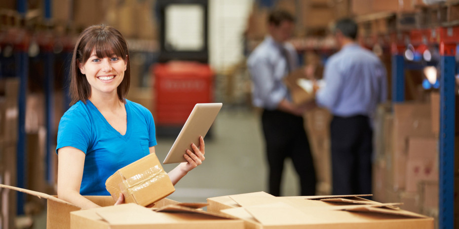 Remira-Software LogoMate, Modul LM mobile+