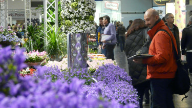 Zufrieden trotz Besucherrückgang