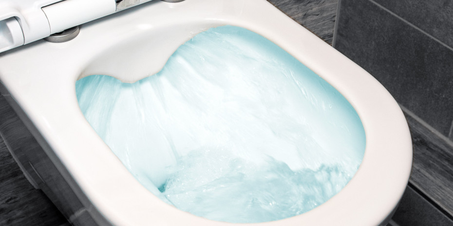 Spülrandlose WCs sind hygienisch, leicht zu reinigen und umweltfreundlich.&nbsp;