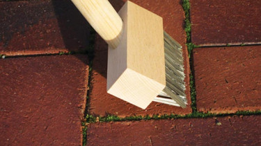 Geniale Unkrautbürste