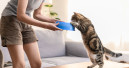 Katzenfutter hui, Kleintier- und Vogelfutter pfui