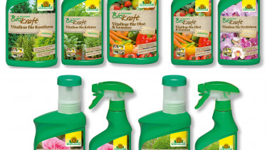 Vitalkuren für Pflanzen