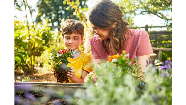 Compo, &nbsp;torffreie Bio-Blumenerden
