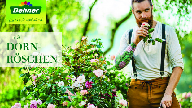 Eine Rose vom Hipster...
Eine Rose vom Hipster...