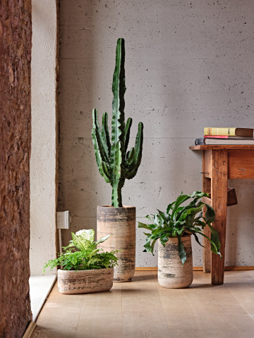 Minerva und Sovereto, hergestellt mit dem Matera-Effekt, der alle Erdtöne repräsentiert.