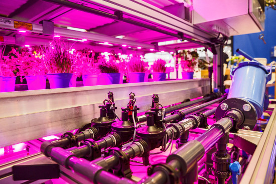 Erstmals wird es auf der IPM 2023 das „Innovationscenter Gartenbau­technik“ geben.