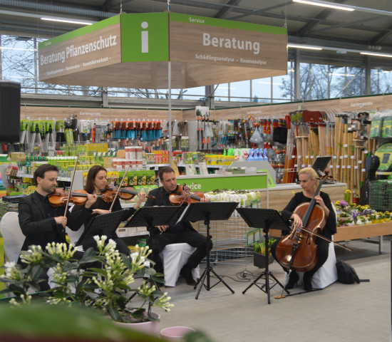 Zur Eröffnungsfeier spielte ein Streichquartett auf - man ist schließlich in Salzburg.