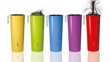 Color 2in1 bringt Farbe ins Spiel