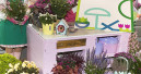 Neue Fachmesse Hortivation by IPM Essen für 2016 geplant