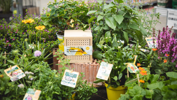 Mit dem „Nützlingsfreundlich“-Sortiment verfolgt Toom einen ökologisch orientierteren Ansatz im Gartenbereich.