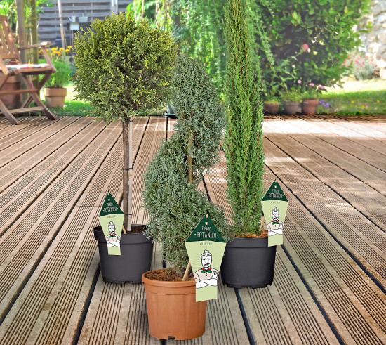 Neu in der Landgard-Konzept­familie: Figaro Botanico&nbsp;