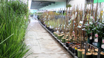 Winteredition als Teil der neuen Landgard-Ordertage-Serie