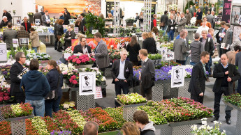 Netzwerken im Grünen Netzwerken im Grünen