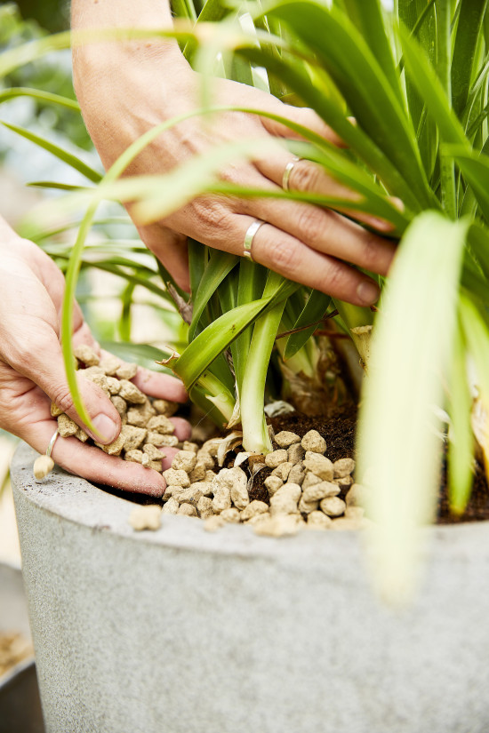 Das Granuplant-Sortiment wird in der kommenden Saison um eine Indoor-Linie erweitert. Das Granuplant-Sortiment wird in der kommenden Saison um eine Indoor-Linie erweitert.