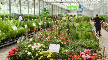 Hybride Herbst-Ordertage 2023 haben die Erwartungen erfüllt Hybride Herbst-Ordertage 2023 haben die Erwartungen erfüllt