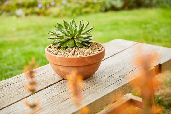 Das Flüssigdünger-Sortiment von Compo Bio wird auch 2023 weiter ausgebaut werden.&nbsp;