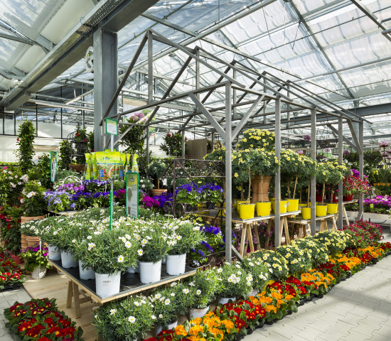 Bei der Präsentation der Pflanzen kommt auch die neue Pagodenkonstruktion in den Umrissen eines Hauses zum Einsatz. Foto: Rene Vidalli