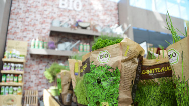 Raus aus der Schutzzone