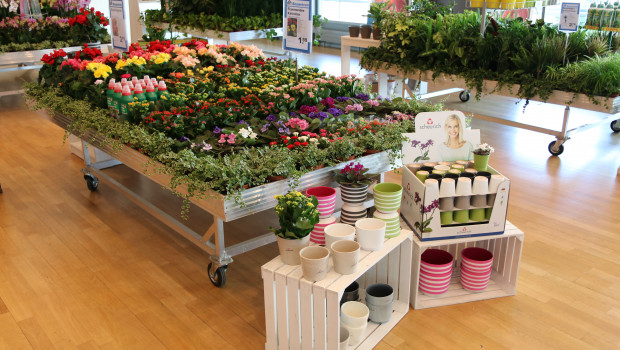 Die Eurobaustoff hat ihr Einkaufsvolumen für den Bereich Garten im ersten Halbjahr 2016 um 5,21 Prozent gesteigert. Diese Zahl nannte Ralf Hahn, Category Manager Garten, auf dem Gartencenter-Meeting der Kooperation.