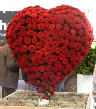 Rosen sind nach wie vor der meistgekaufte Liebesbeweis. Gesehen auf der IPM.