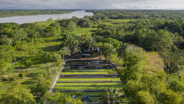 So sieht die Pflanzenkläranlage in Bocas del Carare, Kolumbien, aus.