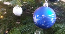 Der Weihnachtsbaum 2017 soll eher kleiner, aber makellos sein
