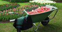 Die Gartensaison 2015 verlief bisher "normal"