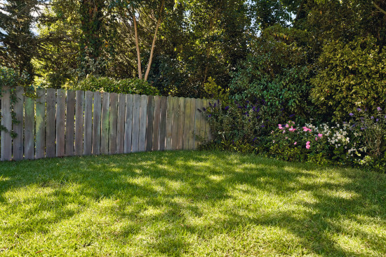 Knapp die Hälfte der Gartenbesitzer (48 Prozent) hat bereits Maßnahmen ergriffen, um den eigenen Garten an den Klimawandel anzupassen – zum Beispiel Verschattung. Knapp die Hälfte der Gartenbesitzer (48 Prozent) hat bereits Maßnahmen ergriffen, um den eigenen Garten an den Klimawandel anzupassen – zum Beispiel Verschattung.