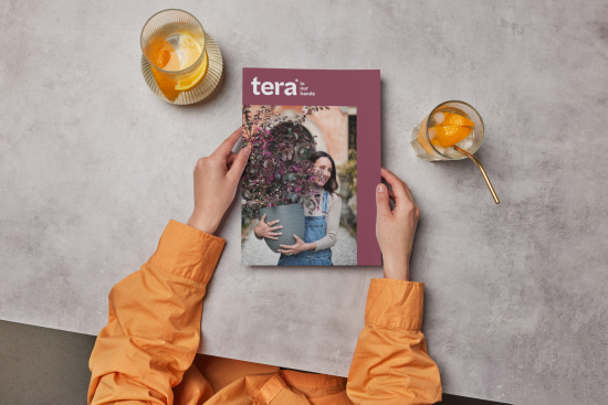 Zum Download auf das Bild klicken.